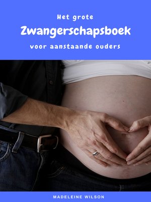 cover image of Het grote Zwangerschapsboek voor aanstaande ouders